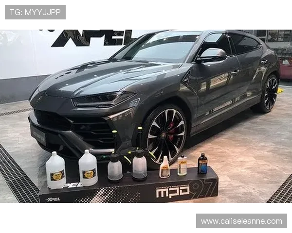 凯发K8真人版全站登录安全保障措施，保护玩家个人信息和资金安全的完整解决方案