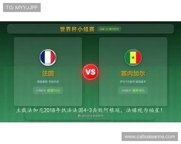 世界杯塞内加尔VS法国后防线漏洞与优势全面剖析报告